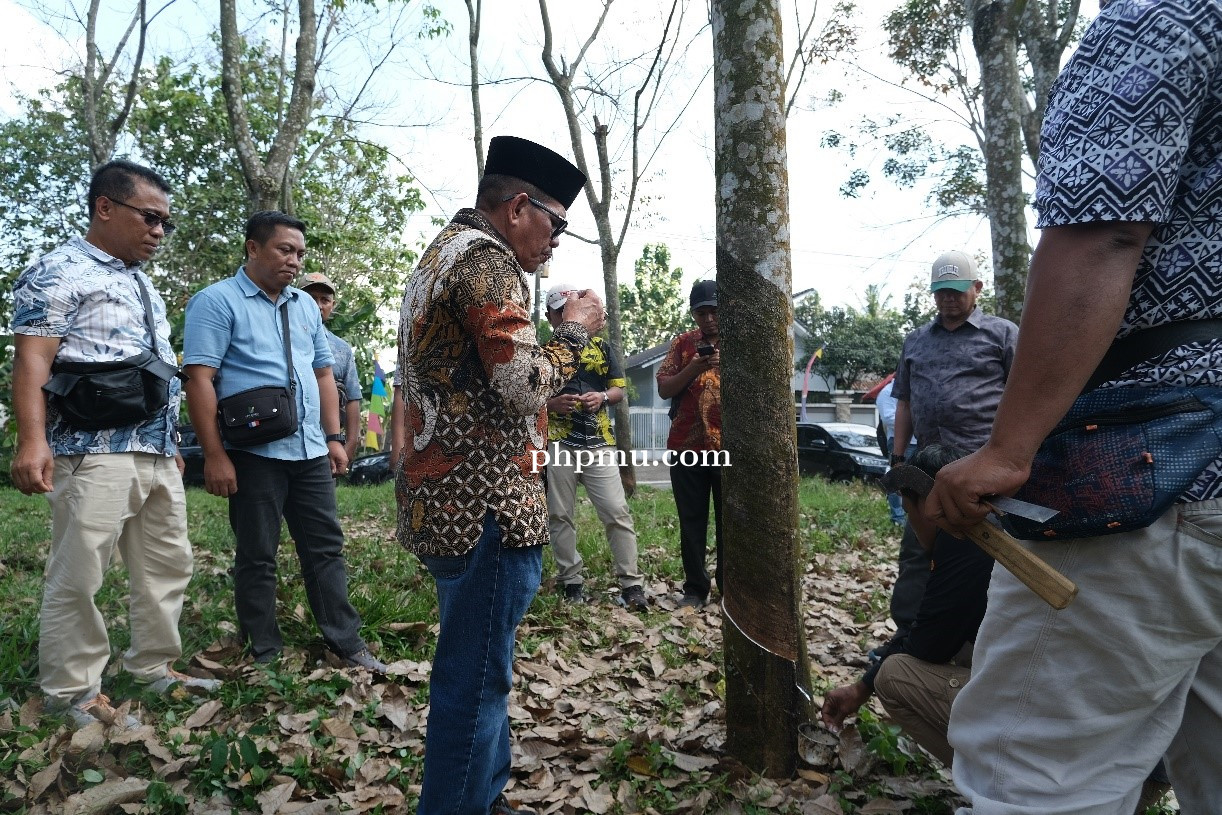 Bangun Kolaborasi Lintas Wilayah, Regional 7 Sambangi Unit Kerja PTPN I Regional 3