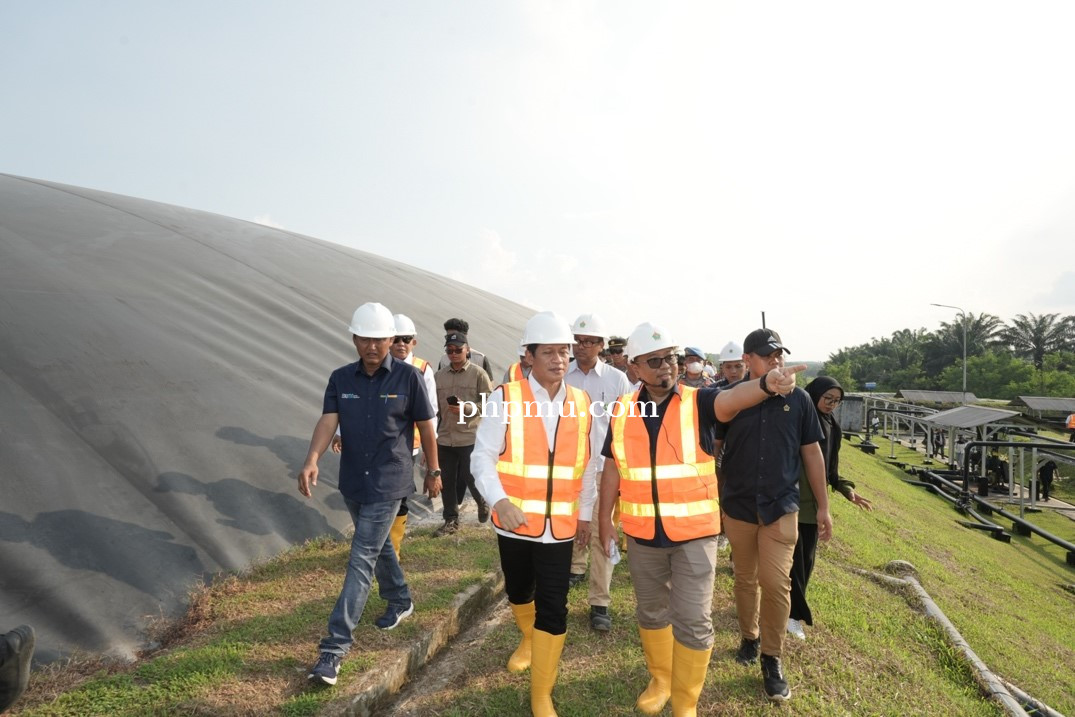 Pemerintah Minta Gapki Dorong Perusahaan Sawit Tiru PTPN Group Perkuat Dekarbonisasi