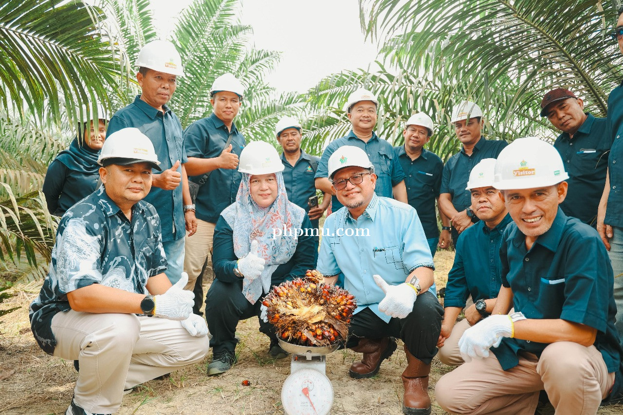 Holding_Perkebunan_Nusantara_Intesifkan_Produktivitas_Melalui_Peremajaan_Sawit_Berkelanjutan.jpg