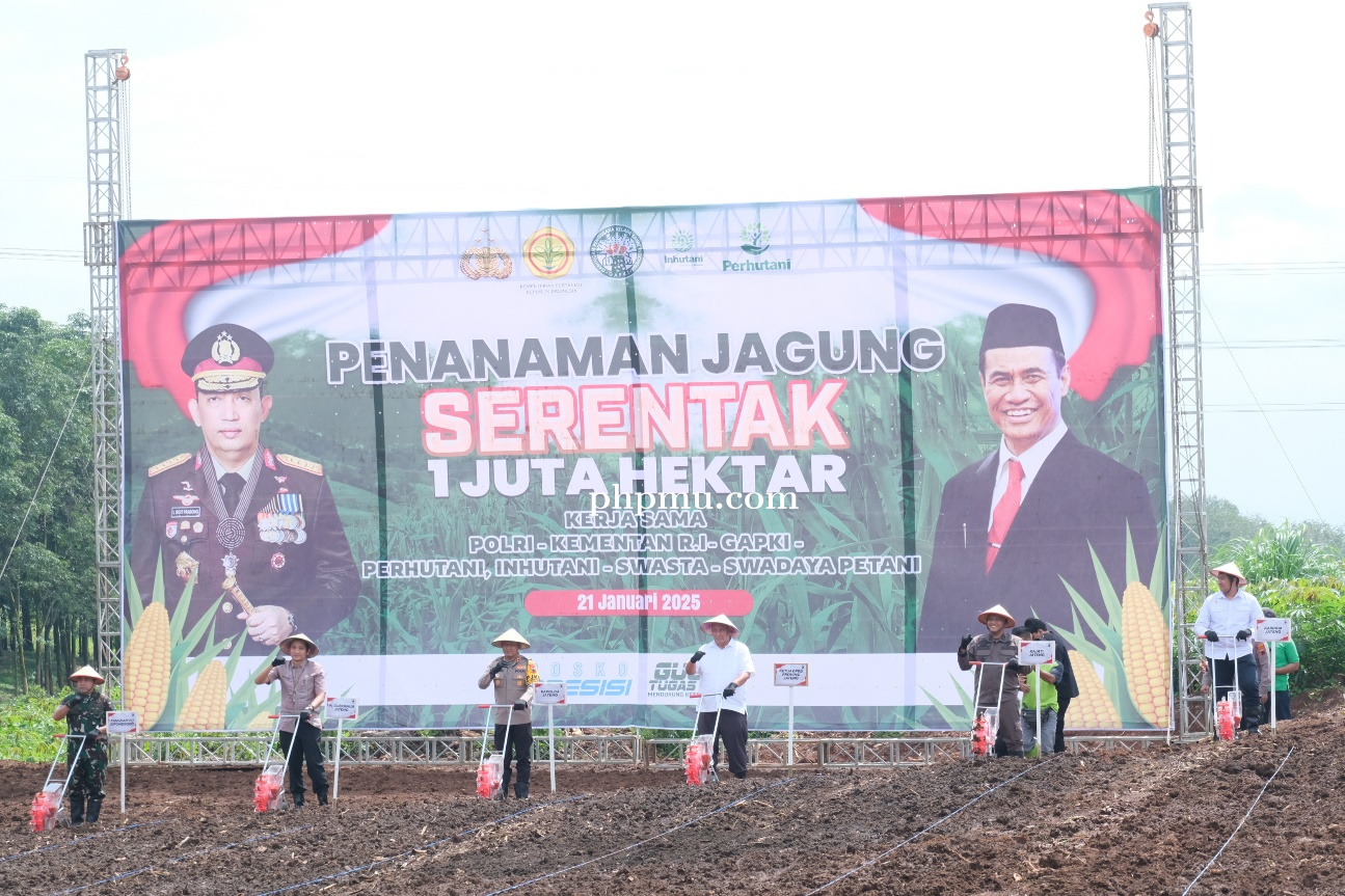 Regional 3 Turut Aksi Tanam Jagung Guna Mendukung Percepatan Swasembada Pangan